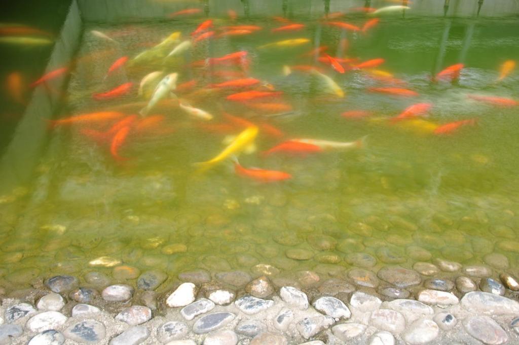 Noahs Hotel Suzhou Suzhou  Bilik gambar
